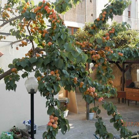 B&B Palazzo L'Occaso Castrovillari Eksteriør billede